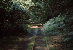 
Abergynolwen to Nant Gwernol, Talyllyn Railway, August 1969